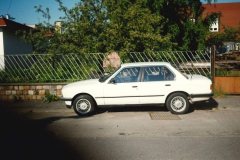 402903421_1018997399269746_8131160104875696868_n